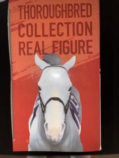Thoroughbred Collection ゴールドシップ