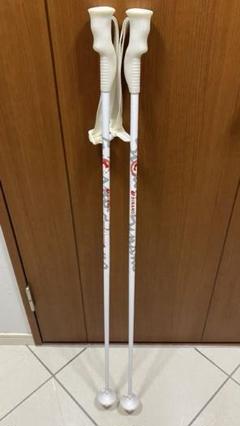 SINANO BUMP DIVER 105cm モーグルストックワーク専用ポール