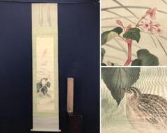 【真作】忍景翠/花鳥図/ウズラ図/秋海棠に鶉図/掛軸/名家伝来/AC-147 真作】忍景翠/花鳥図/ウズラ図/秋海棠に鶉図/掛軸/名家伝来/AC