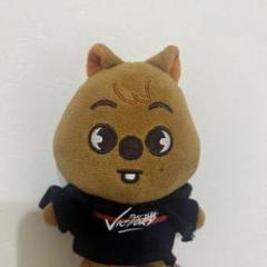 SKZOOハンクオッカ ぬいぐるみ SKZOO PLUSH ORIGINAL Ver. - HAN QUOKKA – JYP JAPAN ONLINE STORE