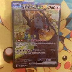 300円企画　フォロワー1000人で300円　ガチグマex SAR 300円企画フォロワー1000人で300円ガチグマex SAR