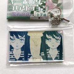 鬼滅の刃』アクリルキーホルダーコレクション ～兄弟・姉妹～ 全