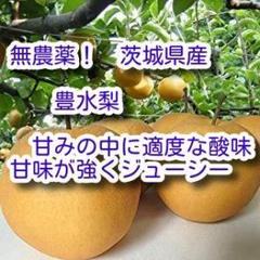 ベトナム新鮮ドリアン激安セット割2玉(訳あり品 - メルカリ