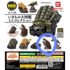2025年最新】いきもの大図鑑 かめの人気アイテム - メルカリ