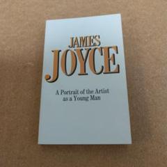 洋書 Fictions of James Joyce & Wyndham Lewis The Fictions of James Joyce and Wyndham Lewis | Cambridge