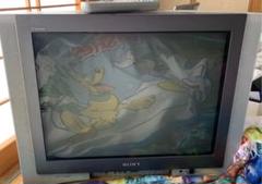 ソニー ブラウン管テレビ 25インチ おまけ付き