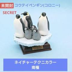♯Kvi26Bzネイチャーテクニカラー南極シークレット入8種 新商品のお知らせ】 – ネイチャーテクニカラー公式