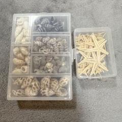 貝殻とヒトデのデコレーションパーツセット