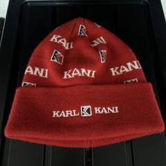 宝剣　RIPNDIP 　Karl Kani ニット帽　2点おまとめ オールドサマーニット帽（ボトルワッペン）