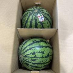 0242千葉県産富里大玉スイカC品4Lサイズ1箱2玉入り 0242千葉県産富里大玉スイカC品4Lサイズ1箱2玉入り - メルカリ
