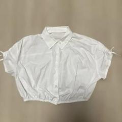 【タグ付き】【新品・未使用】【Ameri】クロップドビッグリボンシャツ タグ付き】【新品・未使用】【Ameri】クロップドビッグリボンシャツ