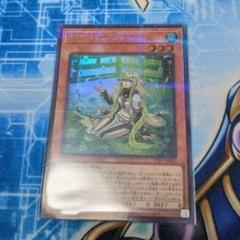 ④遊戯王 アジア版 珠の御巫フゥリ　絵違い　ウルパラ 遊戯王 - 遊戯王 アジア版 珠の御巫フゥリ 絵違い ウルトラ