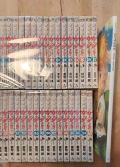 金色のガッシュ!!と雷句誠原画展OFFICIAL VISUAL BOOK