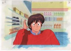 めぞん一刻のアニメセル画、カード、会員証、パンフレット等一式ふ めぞん一刻のアニメセル画、カード、会員証、パンフレット等一式