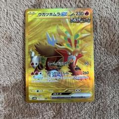 ウガツホムラEX UR