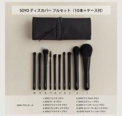 新品・未使用です 10本セット+ケース付き SOYO ブラシ ディスカバー 試してみた】SOYO SOYO ディスカバー フルセット （10本＋ケース