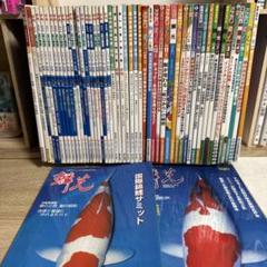 【爆買い！】 月刊錦鯉 鱗光 日鱗 メルカリ - 錦鯉 まとめ売り 52冊セット 趣味