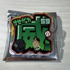 若鷹ガチャ　長谷川威展 ペンライト 2025年最新】長谷川威展の人気アイテム - メルカリ