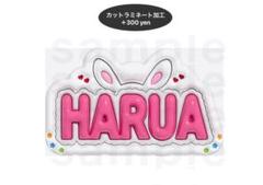 &TEAM ハルア うちわ クッション　キーホルダー ピケット Amazon.co.jp: &TEAM ハルア HARUA うちわ ピケット セカナン
