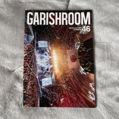 the GazettE ガゼット 会報 大日本異端芸者 GARISH ROOM 大日本異端芸者ガゼット 蛾蟇 がま 初回限定盤 初回盤 the