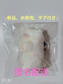 ワーリー ぬいぐるみ セット 61BkvSHbyZL._UF350,350_QL50_.jpg