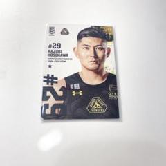 Bリーグ 京都ハンナリーズ 細川一輝 直筆サイン オーセンティックユニフォーム 29 細川 一輝選手】直筆サイン入りレプリカユニフォーム - (＼今