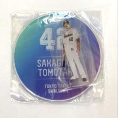 【坂口智隆42 アクリルスタンド】　新品・未開封　東京ヤクルトスワローズ
