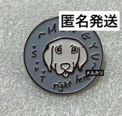 SEVENTEEN 指輪ピンバッチセット SEVENTEEN 指輪ピンバッチセット - メルカリ