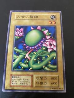 人喰い植物の中古 未使用品を探そう メルカリ
