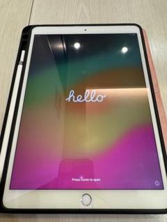 iPad Pro10.5 512GB SIMフリー アップルペンシル セット 即日発送！iPadPro10.5インチSIMフリーとアップルペンシルのセット