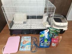 2025年最新】飼育セット うさぎの人気アイテム - メルカリ