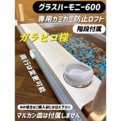 ハムスター グラスハーモニー600 カジカジ カミカミ防止ロフト