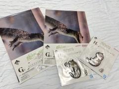【一番くじ】爬虫類＆両生類 F賞G賞H賞 ワニ4点セット