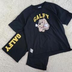 入手困難 GALFY セットアップ わんわん大学 ビッグロゴ XL 入手困難 GALFY セットアップ わんわん大学 ビッグロゴ XL