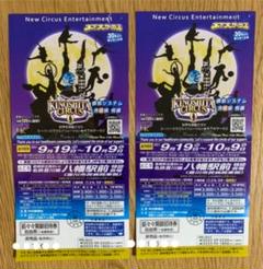 木下大サーカス チケット 2枚