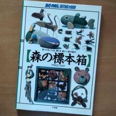 【状態良】自然でつくる「森の標本箱」