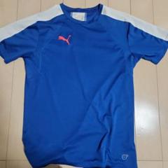 PUMA ラグランスリーブシャツ M 青