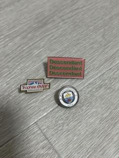 ManchesterCity / Descendant / Evian ピンズ