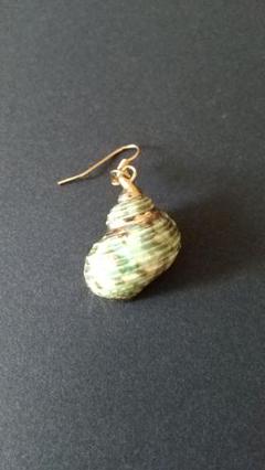 ハンドメイド 巻貝の片耳ピアス