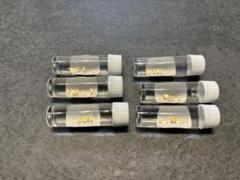 m61620227979_1.jpg?1724676292