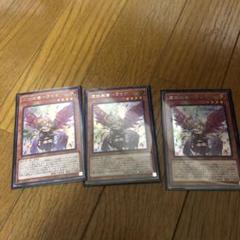 遊戯王 ライナ 絵違い シク 3枚セット