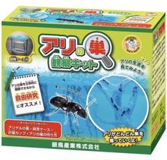 アリの巣 観察の中古/未使用品 - メルカリ アリの巣 観察の中古/未使用品 - メルカリ