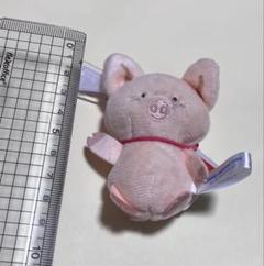 2025年最新】ザシキブタ ぬいぐるみの人気アイテム - メルカリ