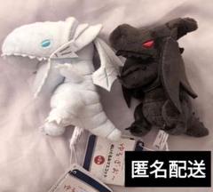 2025年最新】遊戯王 ぬいぐるみ ドラゴンの人気アイテム - メルカリ