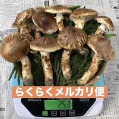 2025年最新】松茸 中国 つぼみの人気アイテム - メルカリ