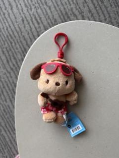残りわずか！ABC ハワイ 日焼けキティ ポチャッコ ハワイ限定品