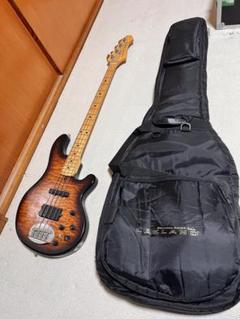 2025年最新】lakland shoreline seriesの人気アイテム - メルカリ