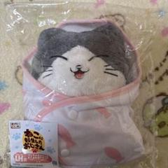 ねこに転生したおじさん タイトーくじ ラストハッピー賞