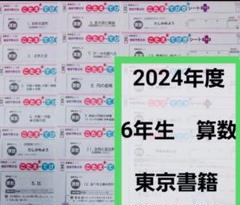 2025年最新】ぶんけい テスト算数6年生の人気アイテム - メルカリ