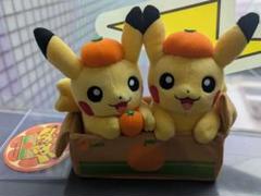 愛媛限定　ピカチュウぬいぐるみ ポケモン ピカチュウ 愛媛限定ぬいぐるみ